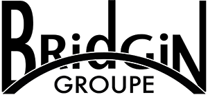 Bridgin Groupe